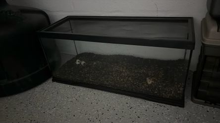 30 gallon aquarium