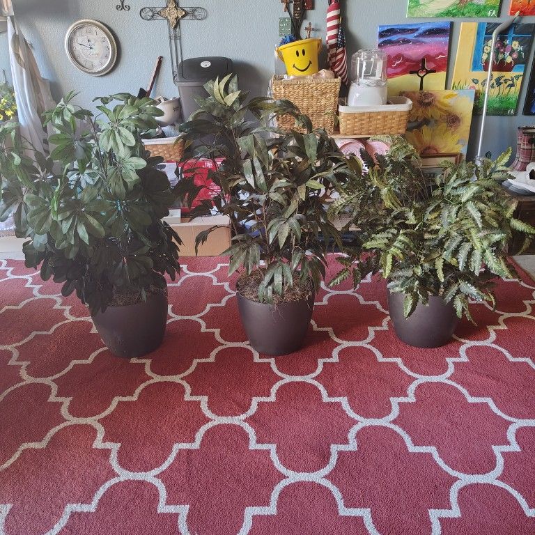 3 Fake Plants 