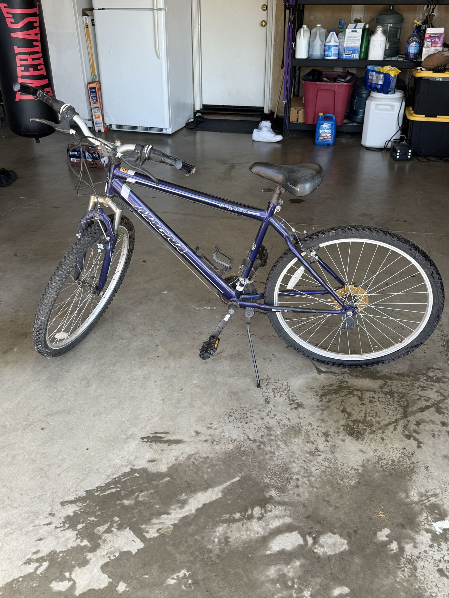 Magna Road Bike $70