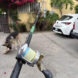 Fishing Rod Combo Shimano Talica