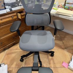 Flexispot Premium Ergonomic Office Chair (C7 Max)