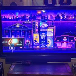 Panasonic 55” TV Flatscreen
