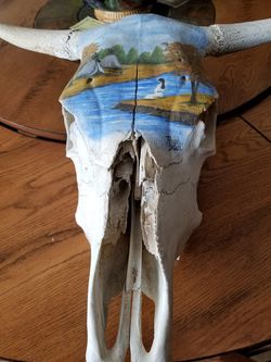 Painted Real Cow Skull For Sale In Coolidge Az Offerup