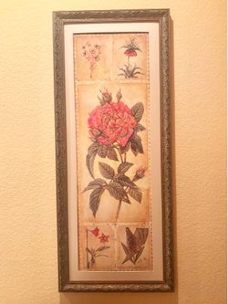 Roses