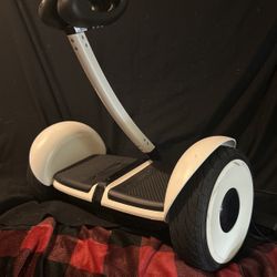Segway Mini Lite