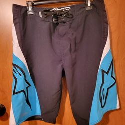 ALPINESTARS Casual Arrival Shorts Boardshorts (Multi Color) Size 33