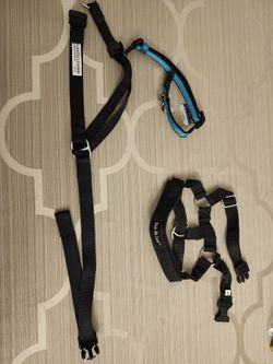 Gentle Leader For Dog