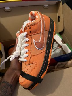Orange Sb “Lobster”