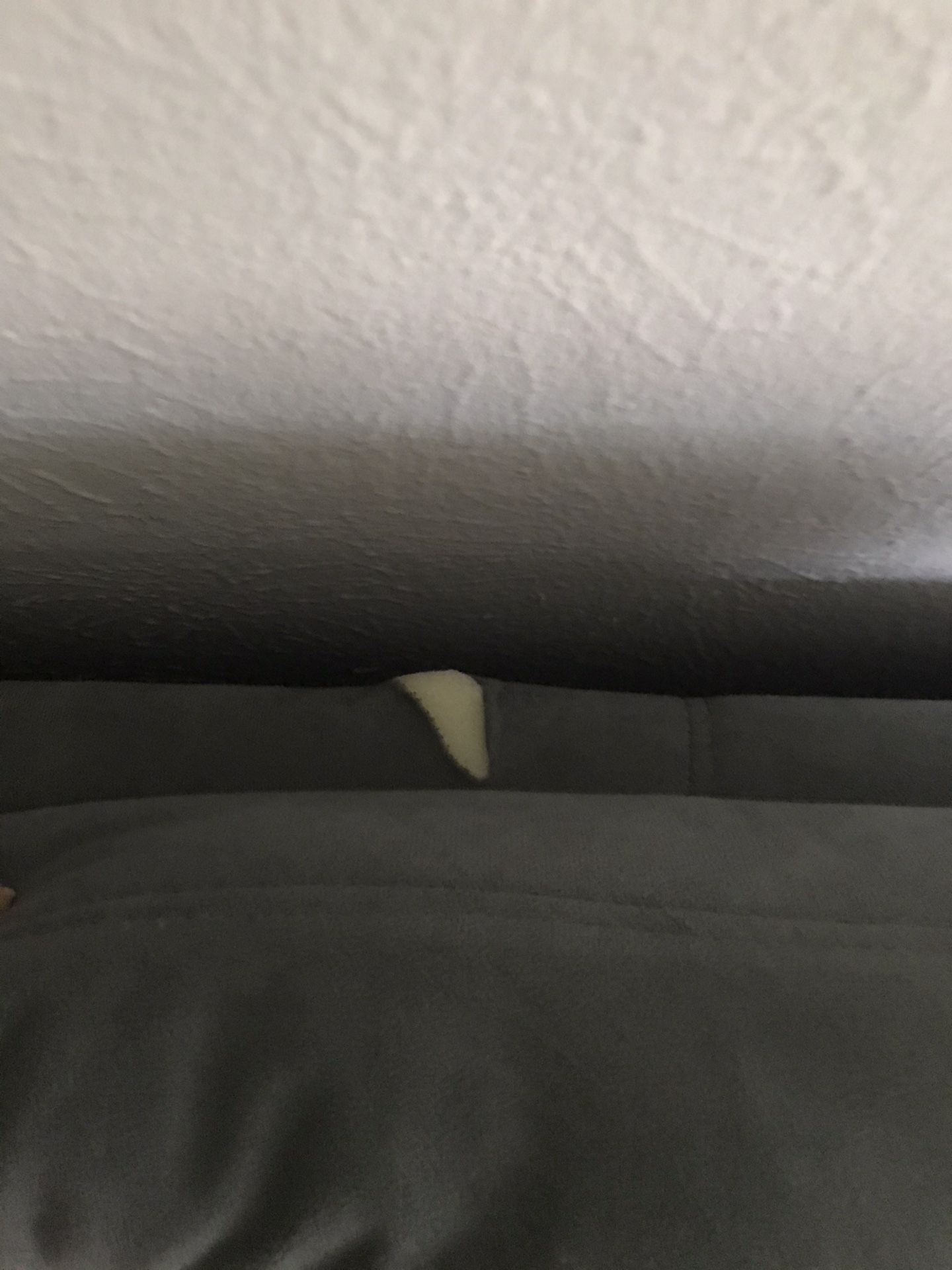 Grey couches for Sale in Dallas, TX OfferUp