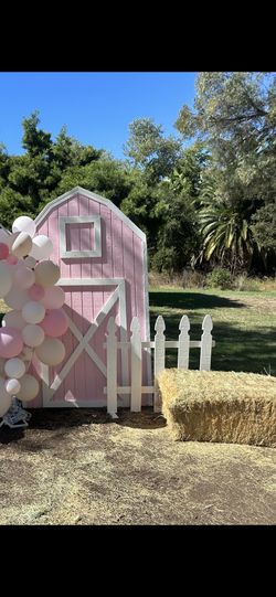 Pink Barn Backdrop 