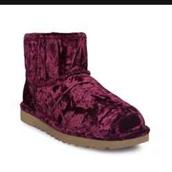 Burgundy Velvet Uggs