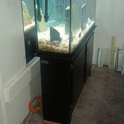 Fish Tank And Stand