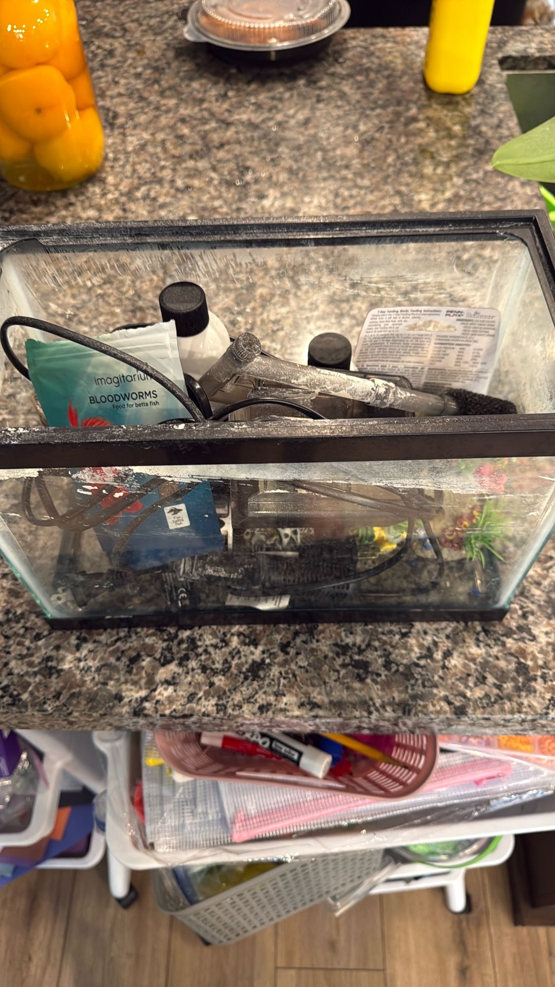 Fish Tank 