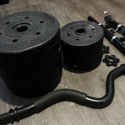 Weights + Curl Bar 