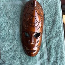 African Turtle Mask