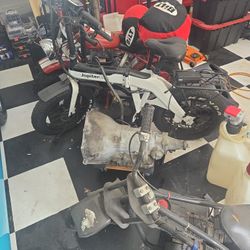 48 Volt Defiant Jupiter Bike 