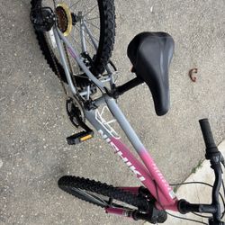 Nishiki Mountain Bike 24”