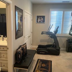 True Elliptical 