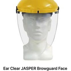 Face Shield