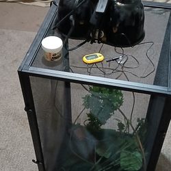 Temporary Chameleon Enclosure 