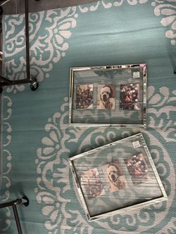 These are really cute never used a little broke, but they ready to go