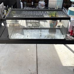 40 Gallon Reptile Terrarium 