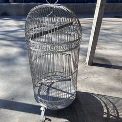 Bird Cage 