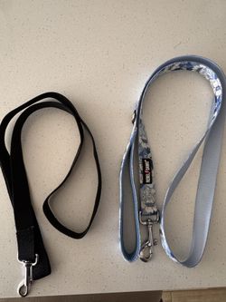 Pet Leash