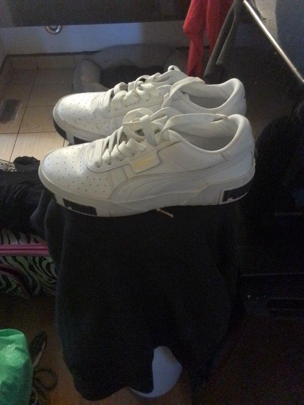 Puma
