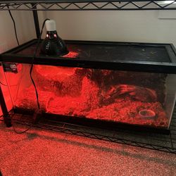 Custom Reptile Tank 