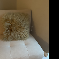 Chair with Iron finishing