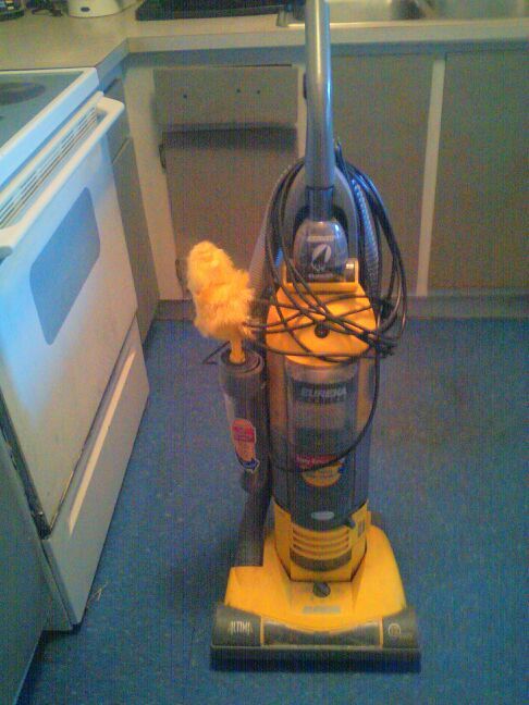 Eureka bagless Altima vacuum cleaner