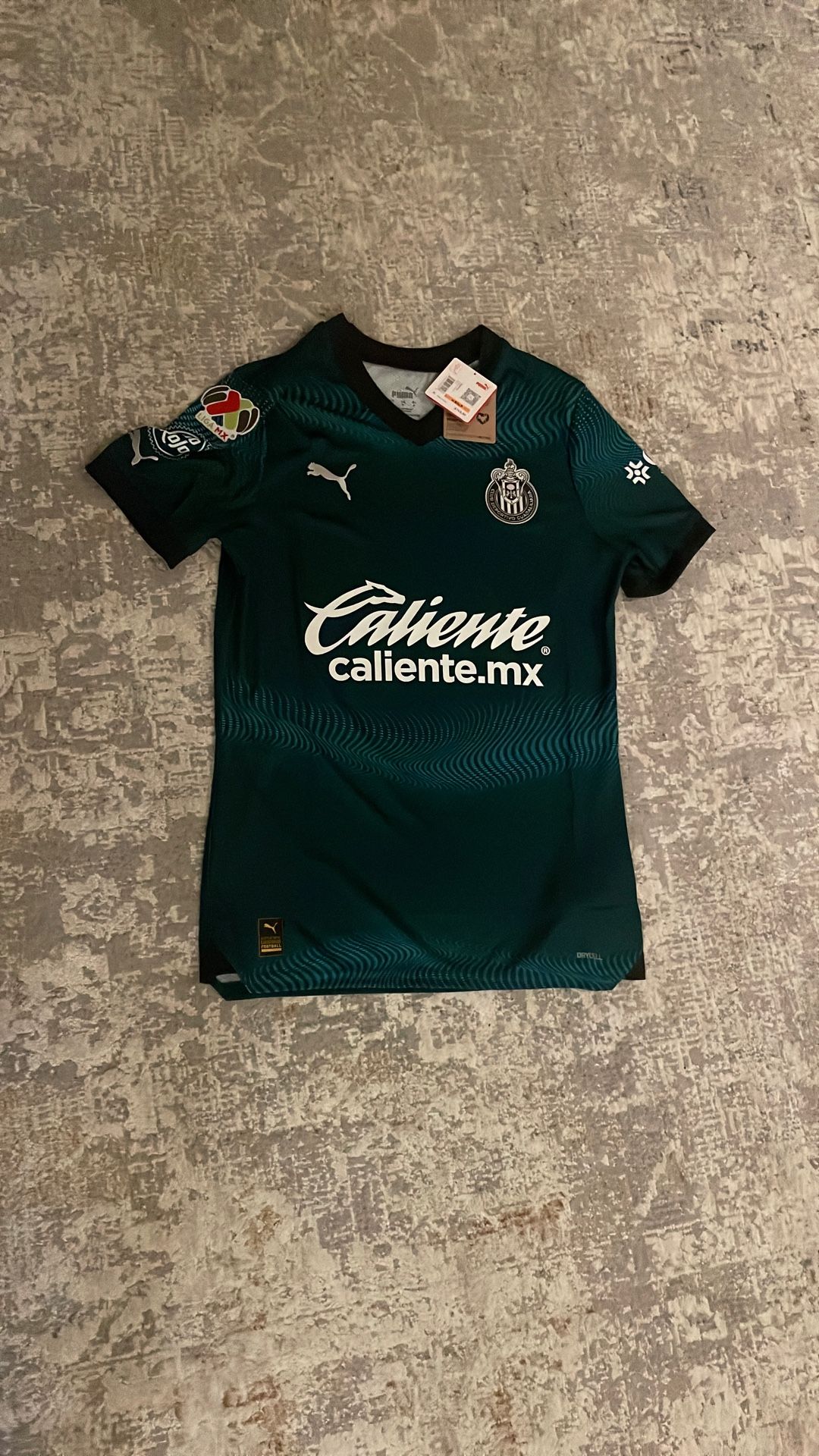 Puma Chivas Guadalajara Authentic 3rd Men's 23 24 Soccer Jersey