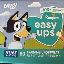 2 Boxes Easy Ups 5T/6T 80 Training UnderWear 