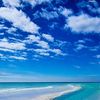 🏝️ 💜