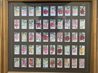 Antique Cigarette Cards- Set of 50