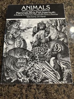 Animal book of illustrations from 1419 by Jim Harter