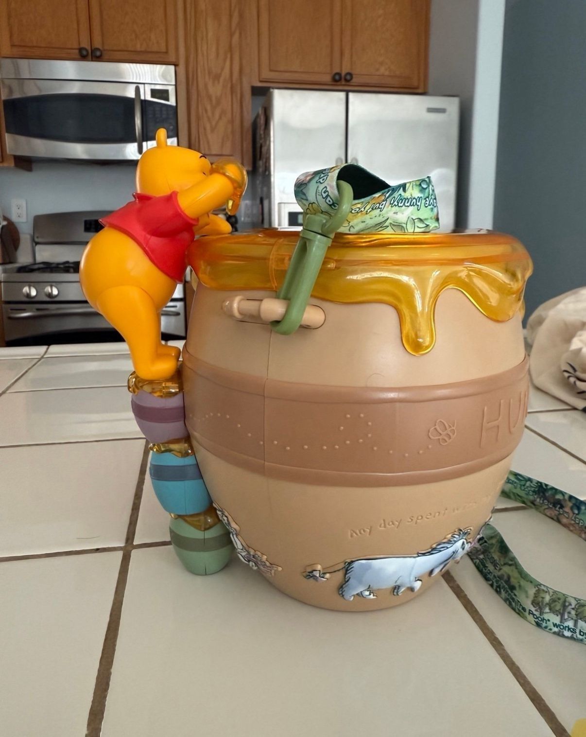 Disney Tokyo popcorn bucket