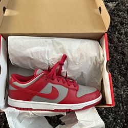 UNLV DUNKS