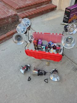 Halloween- clamp on light fixtures and assorted red and black light bulbs