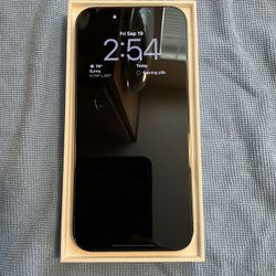 iPhone 16 Pro Max 256gb White Titanium Unlocked 