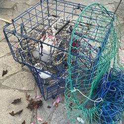 Crab traps 