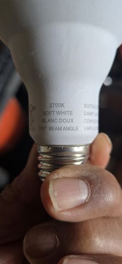 Light Bulbs