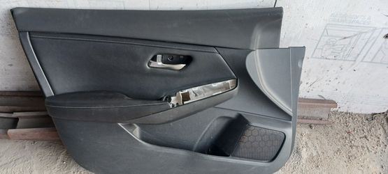 Panel Door