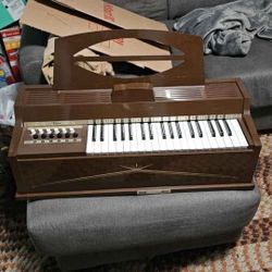 Magnus Cord Organ