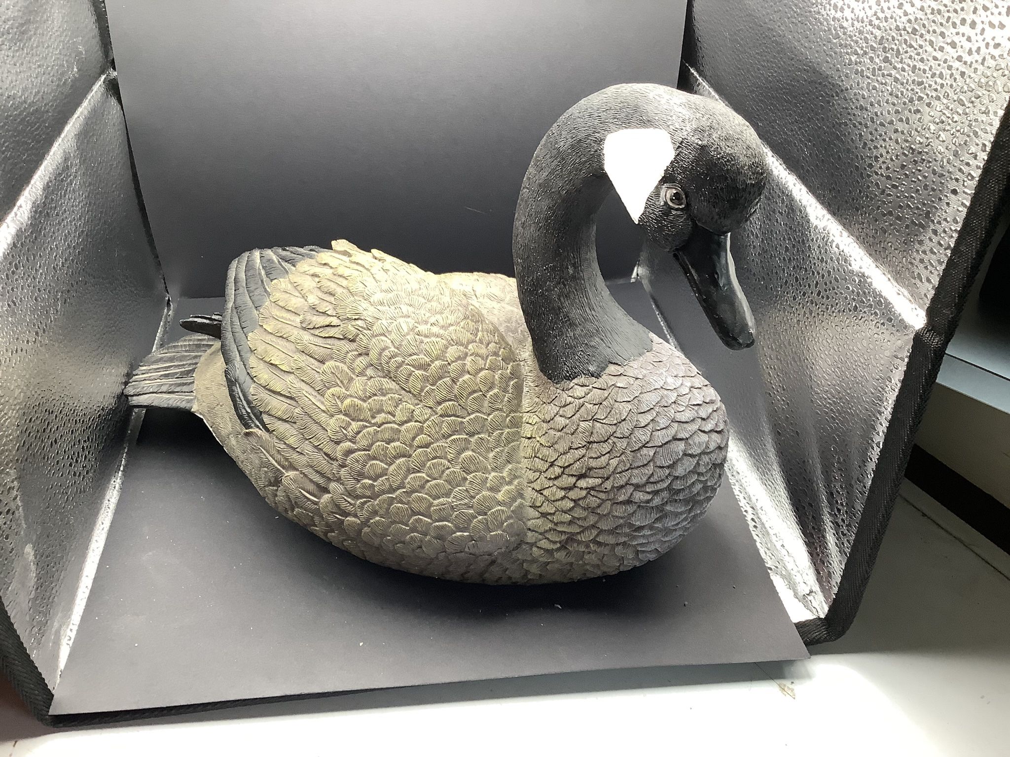 Canada Goose