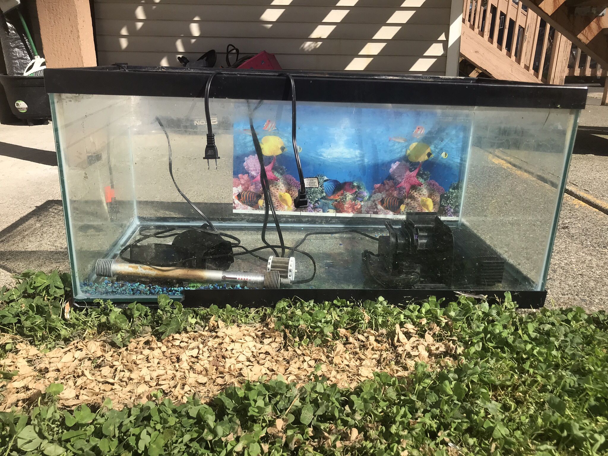 50 Gallon Aquarium & Accessories