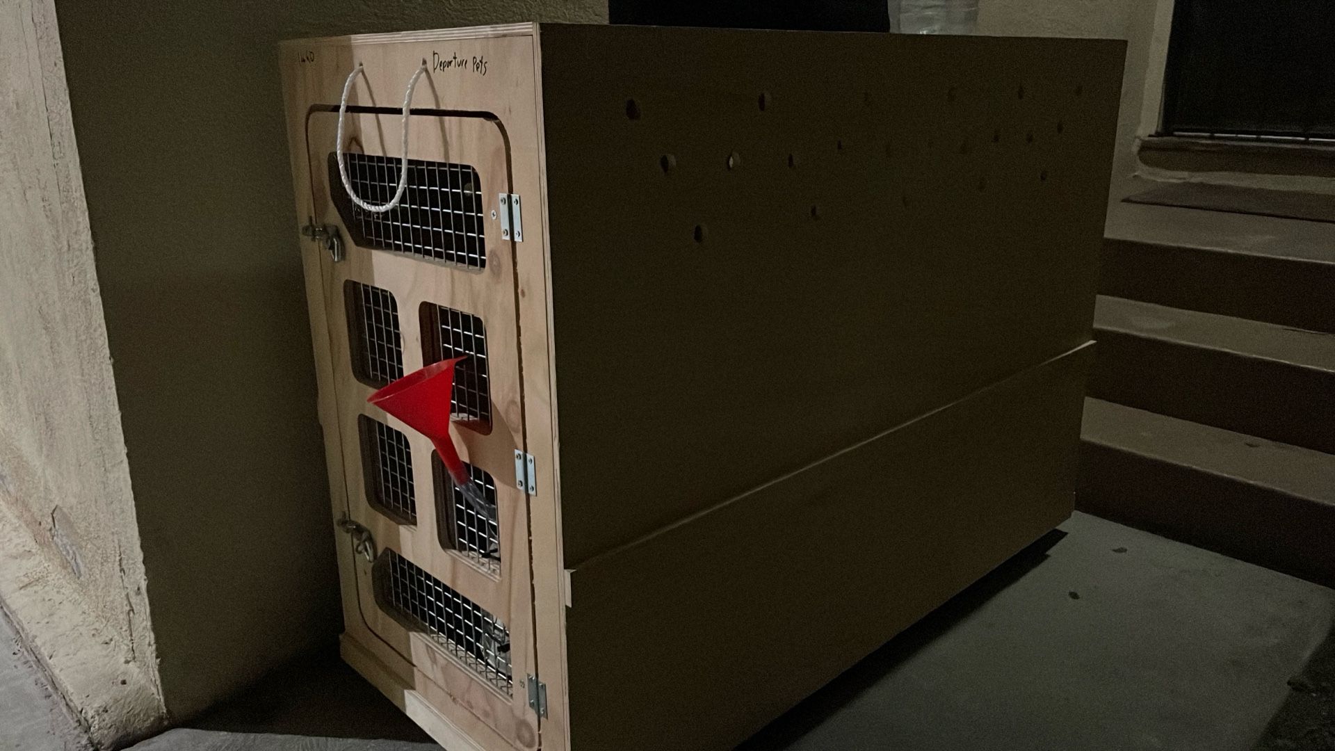 wood dog crate