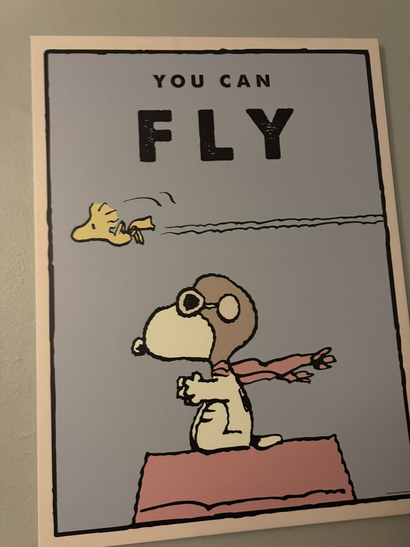 PEANUTS You Can Lead/You Can Fly By IKONICK