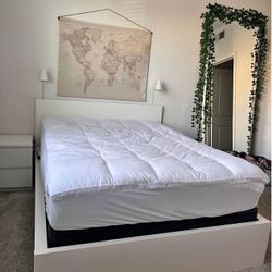 White Queen Bedframe 